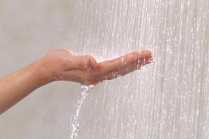 卵子老化に効果があるタンポポ茶について